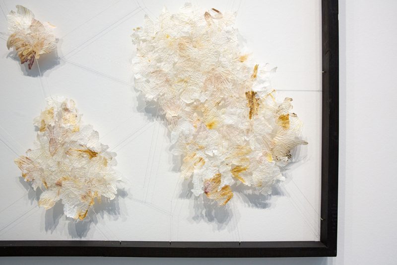 Josep Safont (Rising Talent Awards CRAFT, Spain, January 2023, Maison&Objet exhibitor): textile designer who fashions objects from textiles or other unconventional natural materials such as onion and garlic peelings, combining embroidery, weaving, felting and screen printing in works inspired by nature and science